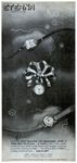 Eterna 1945 14.jpg